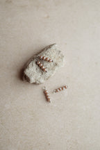 Charm shiny brown Silver