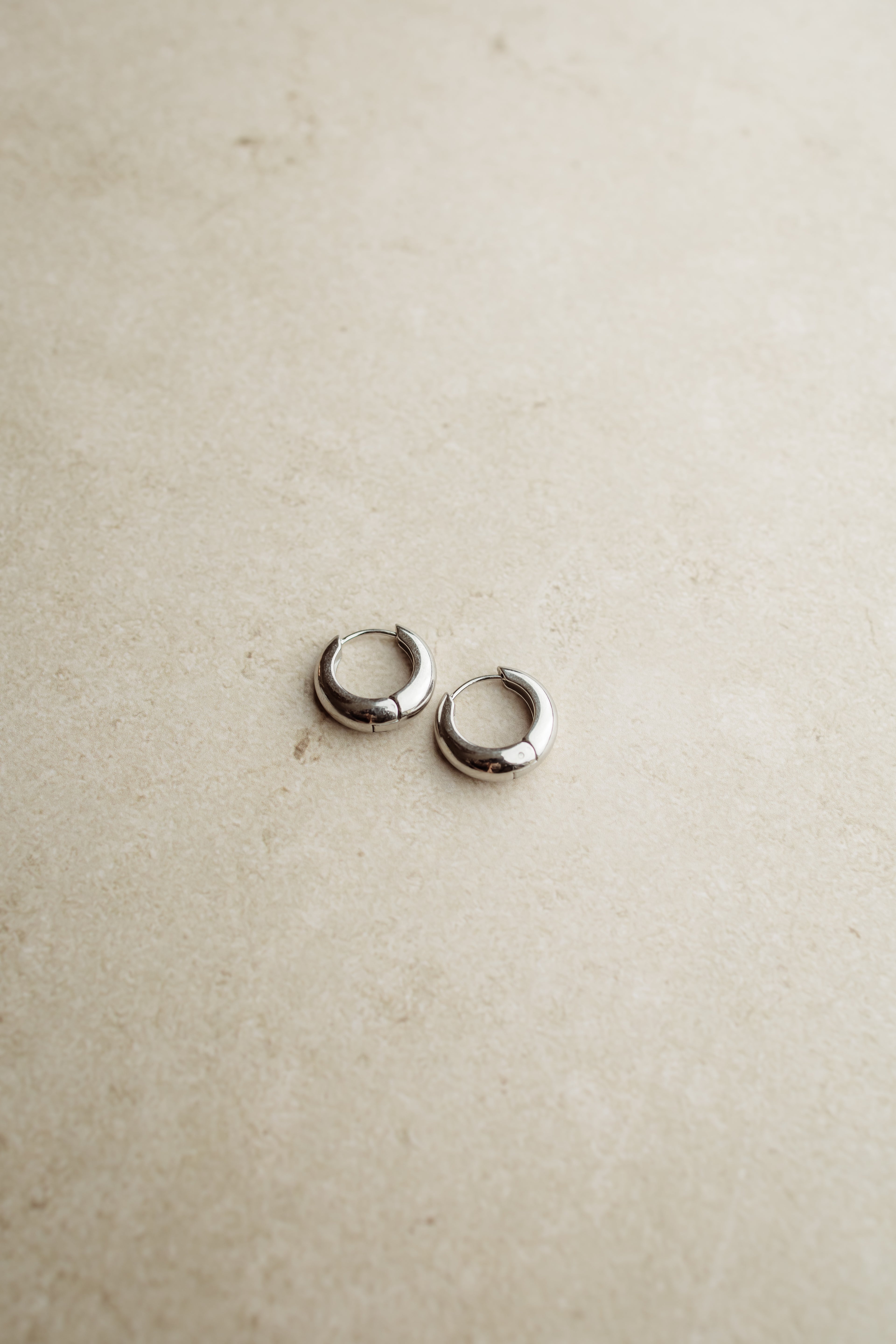 Earrings Bold Hoops