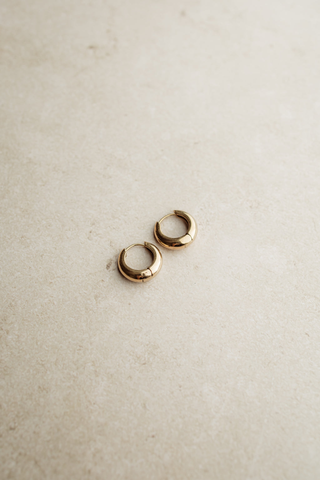 Earrings Bold Hoops