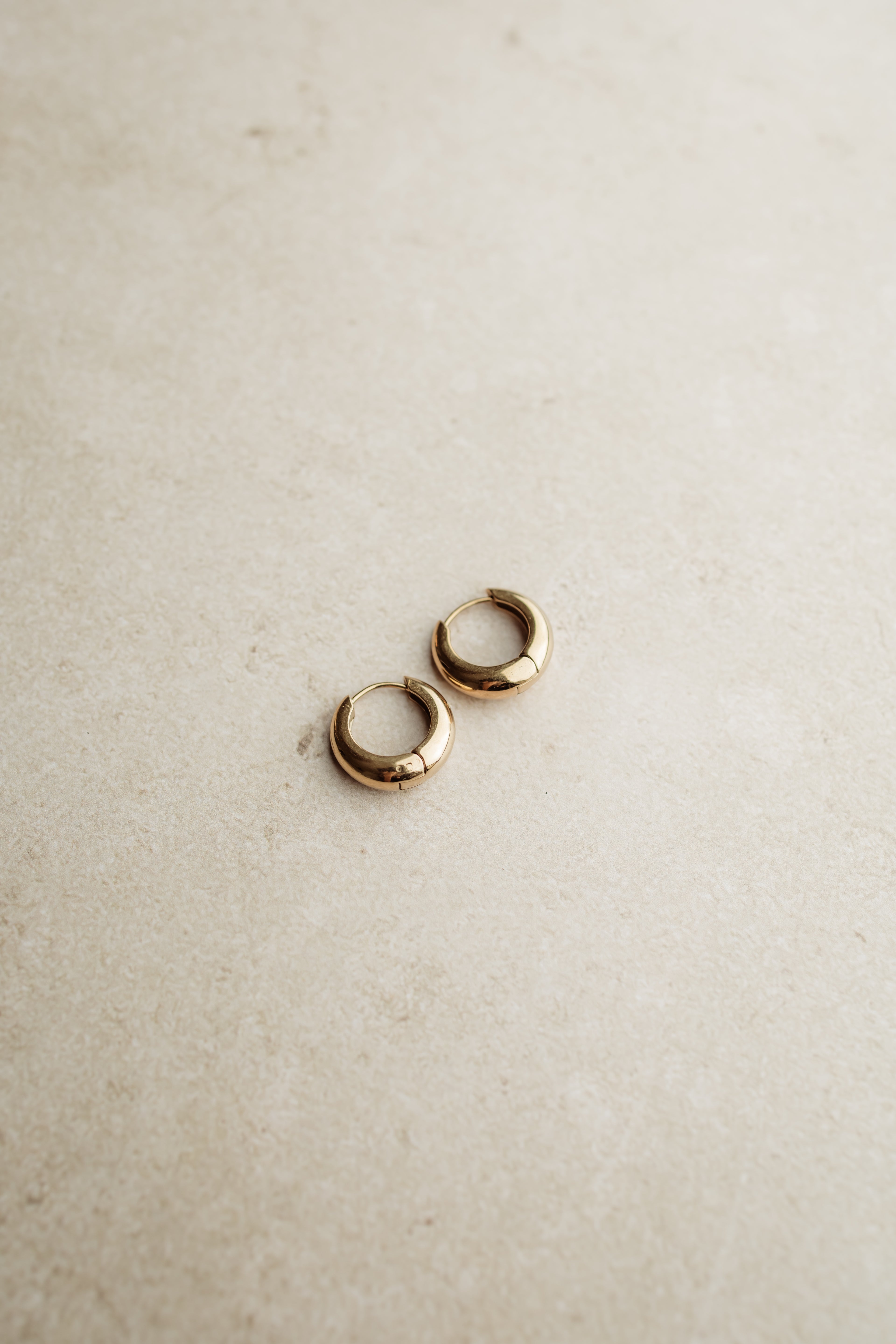 Earrings Bold Hoops